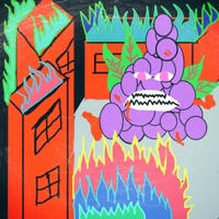 Dingle Berry - Single - 14 Golds