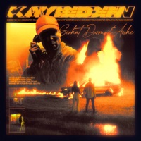 Kaybeden - Single - Serhat Durmus & Aishe