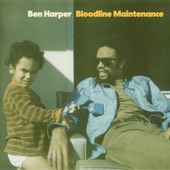 Ben Harper - Knew the Day Was Comin'