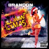 All I Want 4 Xmas artwork