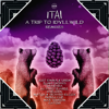 A Trip to Idyllwild Remixes - Itai, Just Emma & Zuma Dionys