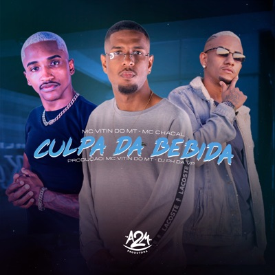 Culpa da Bebida - Single