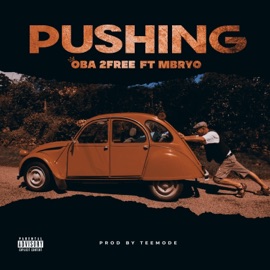 Pushing (feat. Mbryo) OBA 2FREE