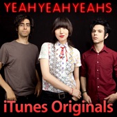 Yeah Yeah Yeahs - Y Control