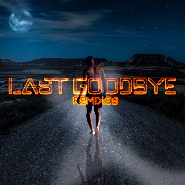 LAST GOODBYE (feat. Felipe Accioly) (feat. Felipe Accioly) [REMIXES]