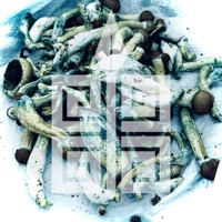 Who Heals the Healer? (feat. Imani the GHETTORACLE) - Single - Spear of the Nation