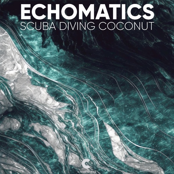 Scuba Diving Coconut - Single