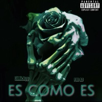 Es Como Es - Single - Lilrickyy & FBB Aj