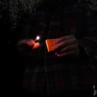 I Don't Trust Love - Single - Cam Stillson