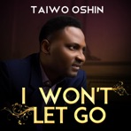 I Won't Let Go - Single