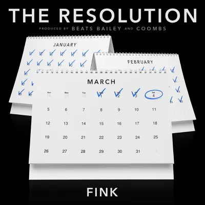 The Resolution - Single - Fink