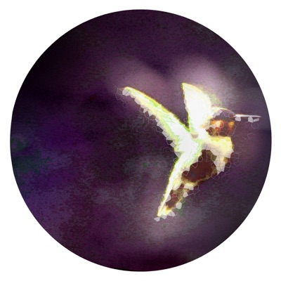 Spirit Continuum - Single