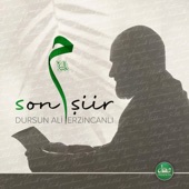 Son Şiir artwork