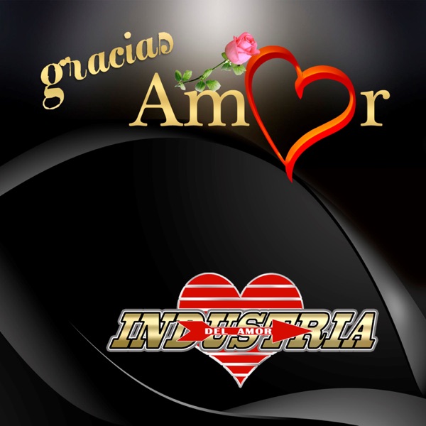 Gracias Amor