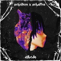 scheitern x schaffen - Single - albedo