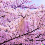 Nectar - Single