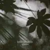 intheshadow
