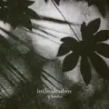 intheshadow