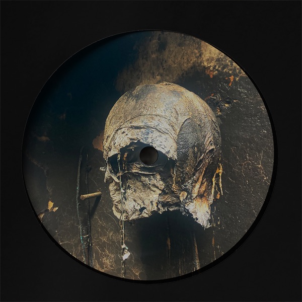 Shapeshifter - Single