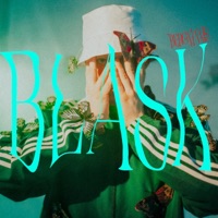 BLASK (feat. Wierzba) - Single - Bergmanis