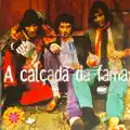 O seu cafajeste