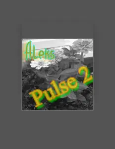 聆聽 Aleks、觀看音樂影片、閱讀小傳、查看巡演日期等！