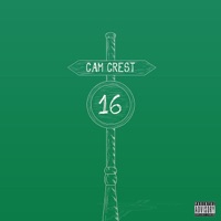 16 - Single - Cam Crest