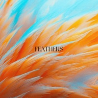 Feathers