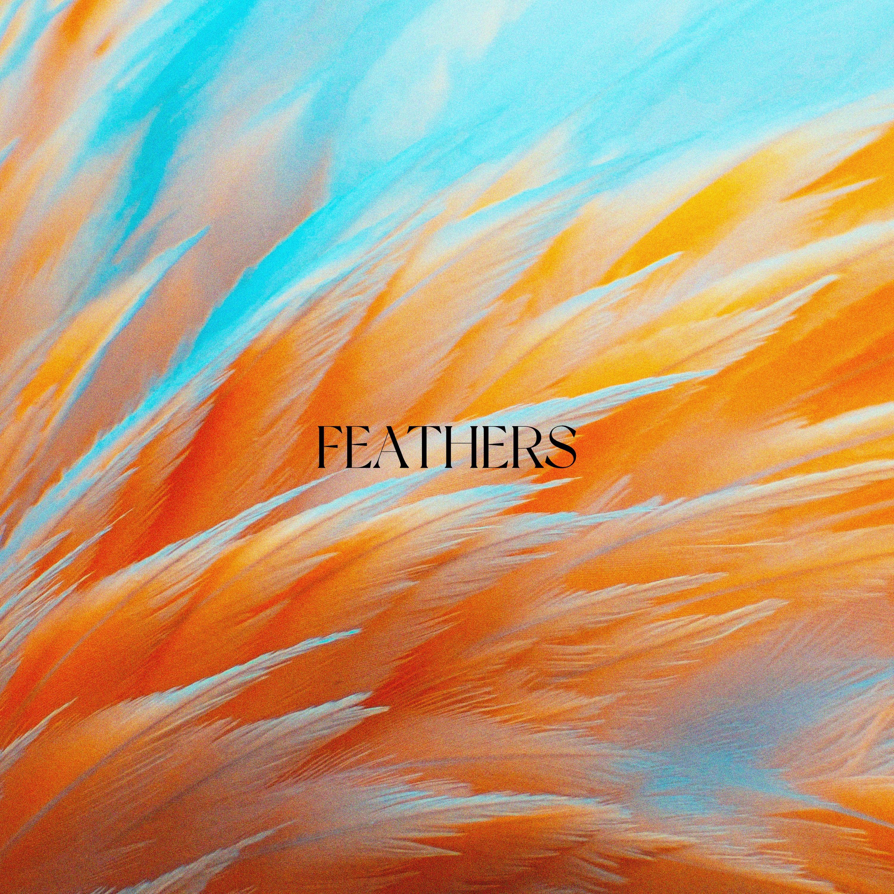 Feathers - Single
