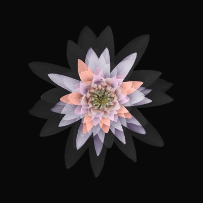 Dakini (God's Eye Mix) (feat. Sunspot Jonz, Tajai & Phesto, Souls of Mischief & Butch Swim) - Single