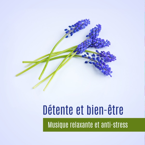 Détente et bien-être - Musique relaxante et anti-stress, les sons de la nature, pensée positive, un meilleur sommeil