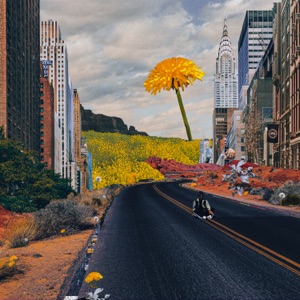 Street Flowers - Single