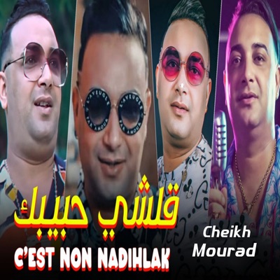 قلشي حبيبك (C'est Non Nadihlak) - Single