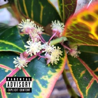 Lo$T But Not Forgotten - Gwadcip$