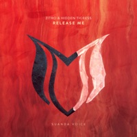 Release Me - Single - Zitro & Hidden Tigress