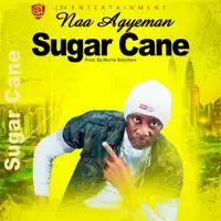 Sugar Cane — Naa Agyeman