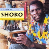 Oliver "Tuku" Mtukudzi - Tumirai Shoko