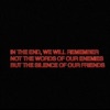 Intheendwewillremembernotthewordsofourenemiesbutthesilenceofourfriends cover art