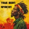 True Born African (feat. Winston Jarrett) - Sid Bucknor lyrics