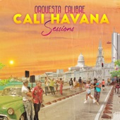 Cali parece cubana artwork