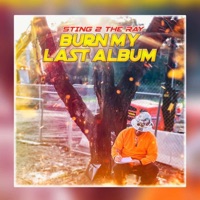 Burn My Last Album - stingray