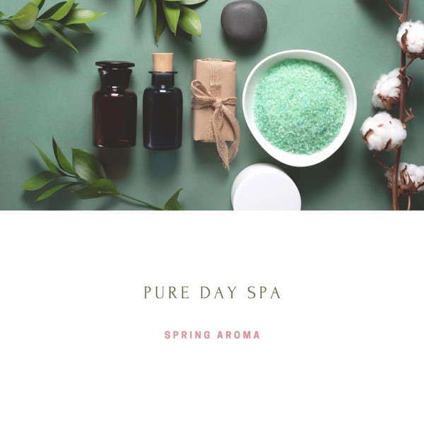 Pure Day Spa