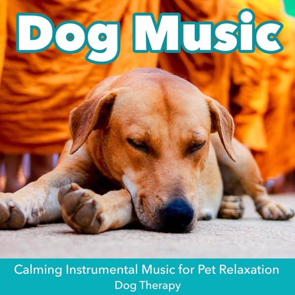 Dog Music : Calming Instrumental Music for Pet Relaxation, Dog Therapy