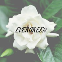 Evergreen - Single - IcedOutMK