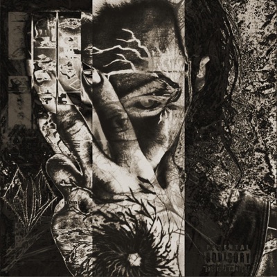 ARCHON SEED - Single