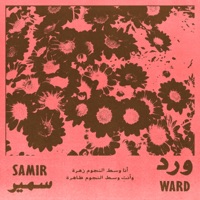 Ward - ورد (feat. Samir) - Single - Infinitum Beatz