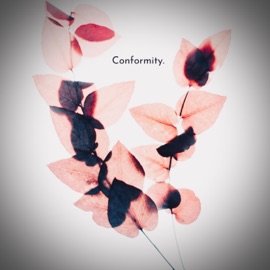 Conformity BassDown Beats