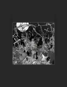 Escucha a Tw!zzy, mira vídeos musicales, lee la biografía, consulta fechas de giras y mucho más.