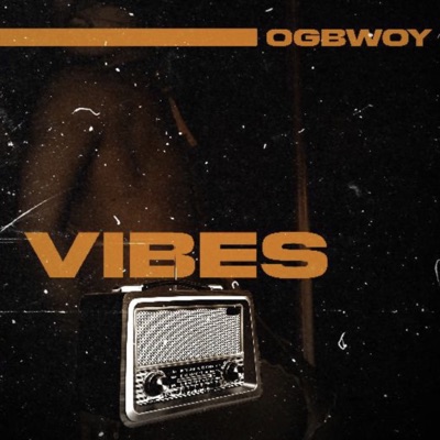 Vibez - Single