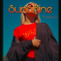 SunShine (feat. Wavy D) - Single - LeelDaReal
